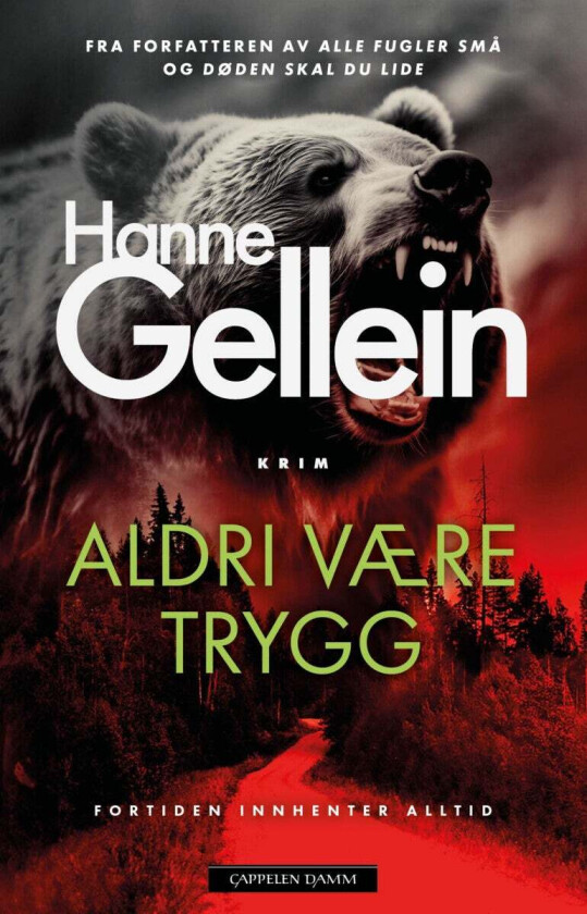 Aldri være trygg av Hanne Gellein