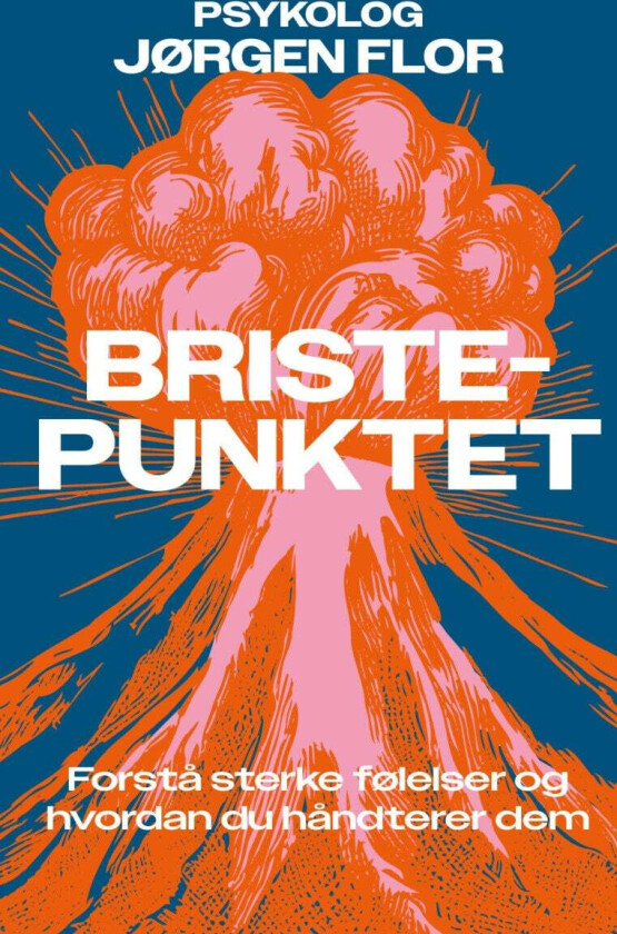 Bristepunktet av Jørgen Akre Flor