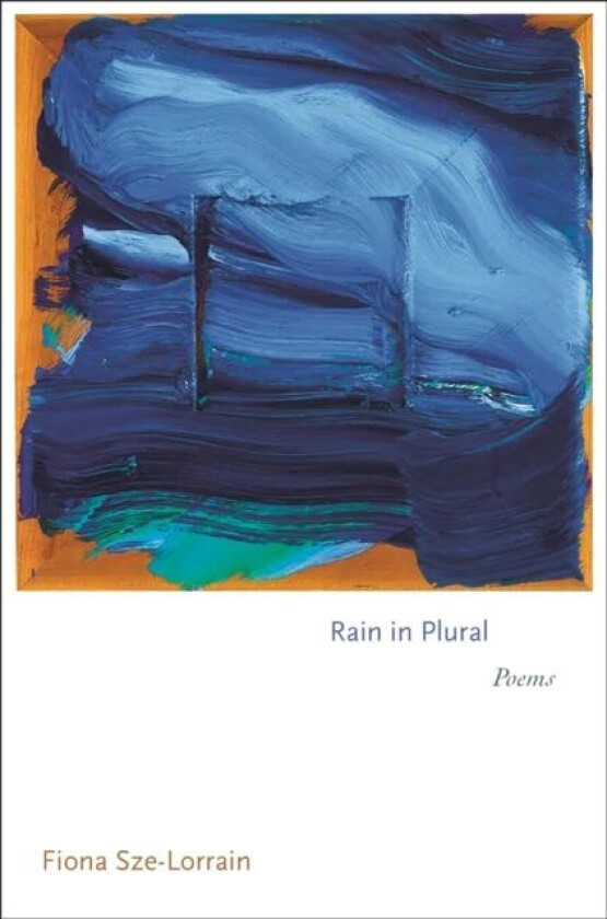 Rain in Plural av Fiona Sze-Lorrain