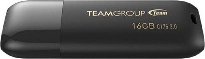 Team Color Theme Series C175 - 16GB - Minnepenn