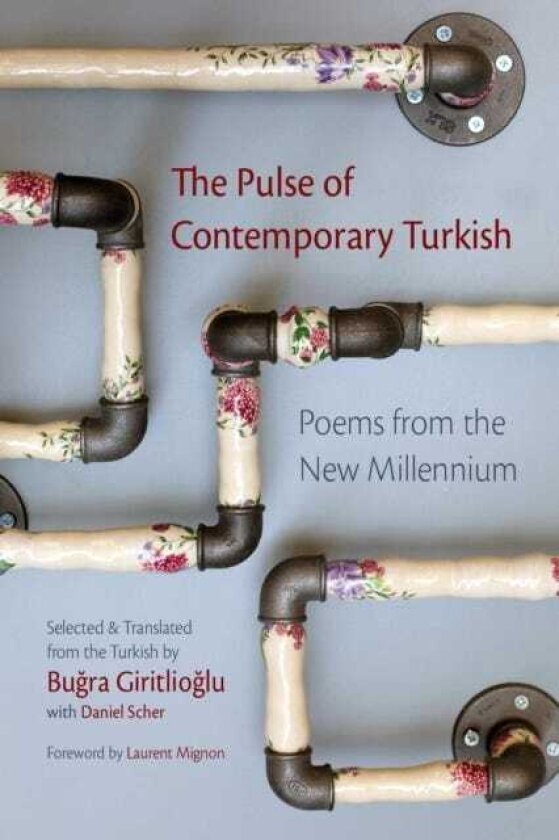 The Pulse of Contemporary Turkish Poems from the New Millennium