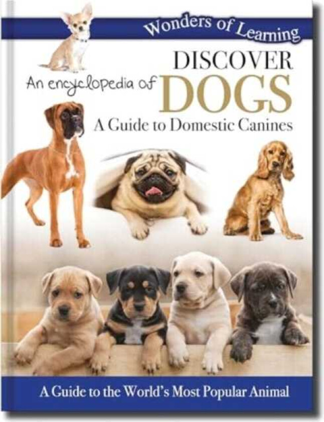 Discover an Encyclopedia of Dogs A Guide to Domestic Canines
