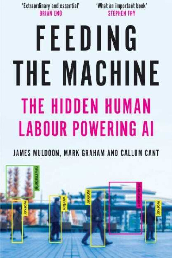 Feeding the Machine The Hidden Human Labour Powering AI