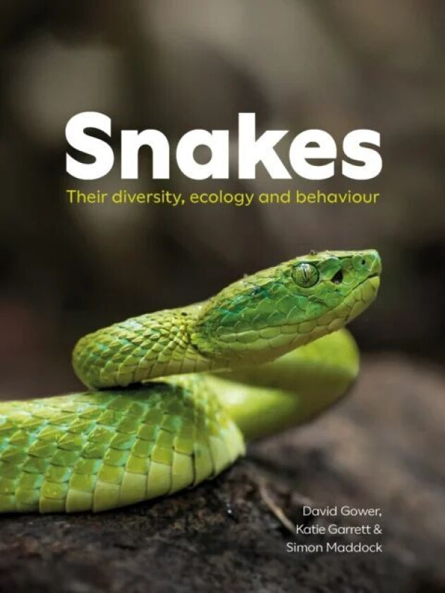 Snakes av David Gower, Katie Garrett, Simon Maddock