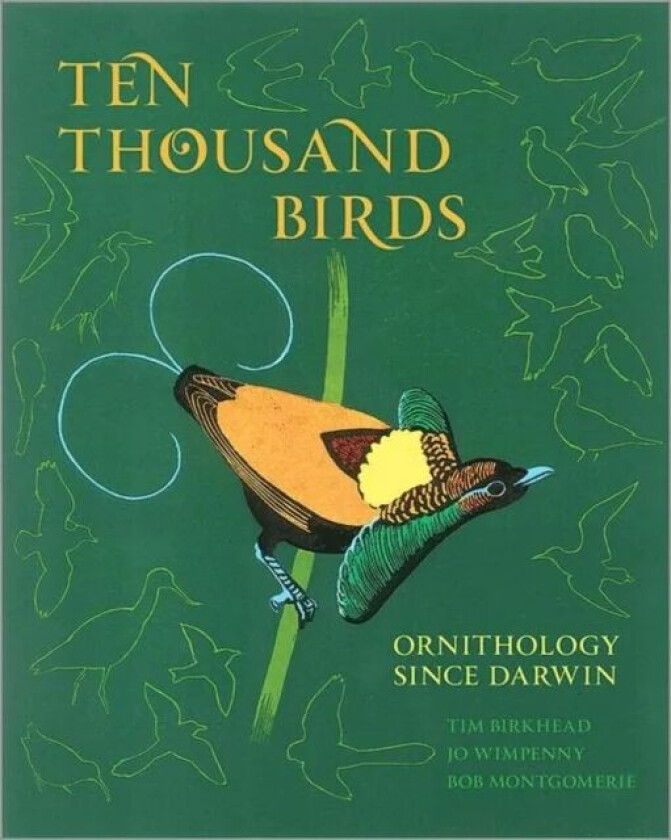 Ten Thousand Birds av Tim Birkhead, Jo Wimpenny, Bob Montgomerie