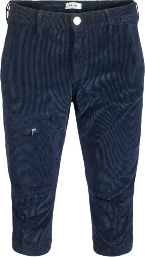 Herre, Shorts, Blå, W31