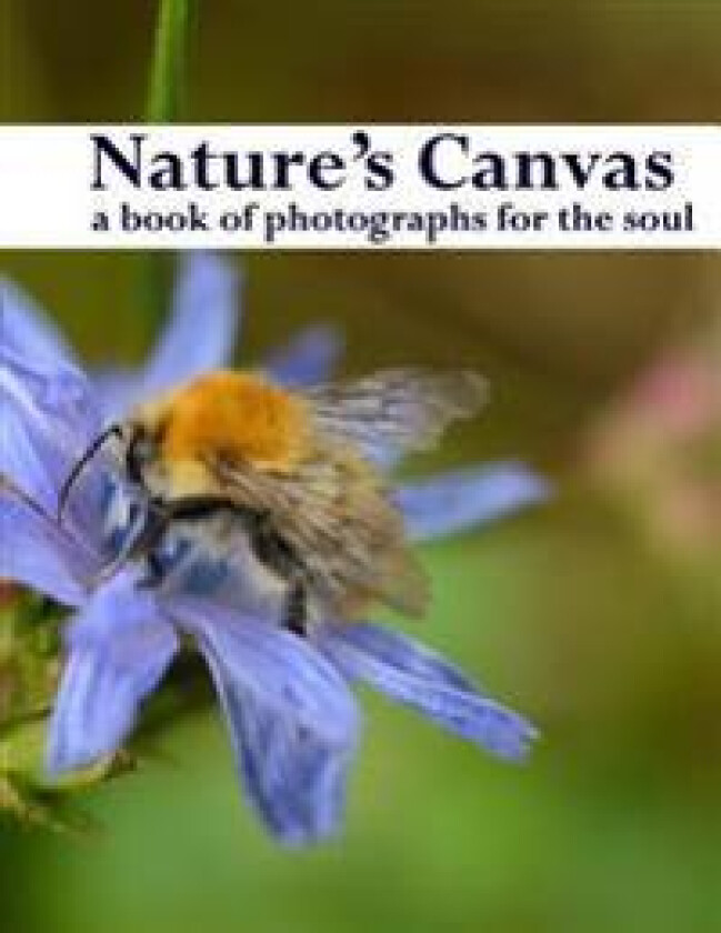 Nature's Canvas, a book of photographs for the soul: a coffee table book of photographs of nature, relaxing images to enjoy and share