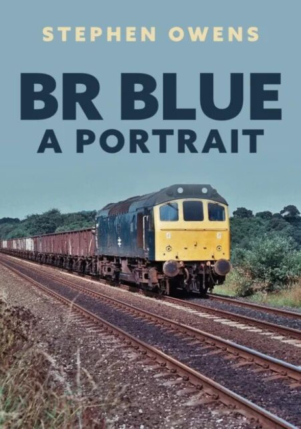 BR Blue: A Portrait av Stephen Owens
