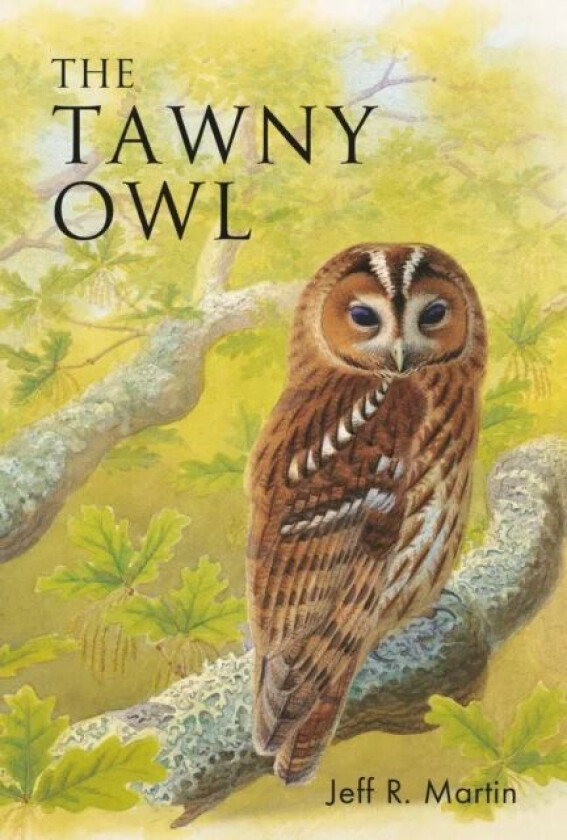The Tawny Owl av Mr Jeff Martin
