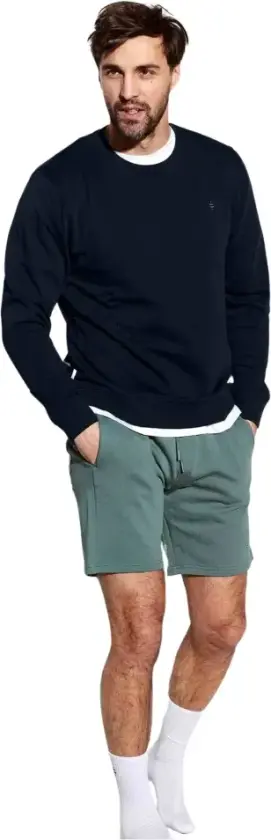 Herre, Shorts, Grønn, S