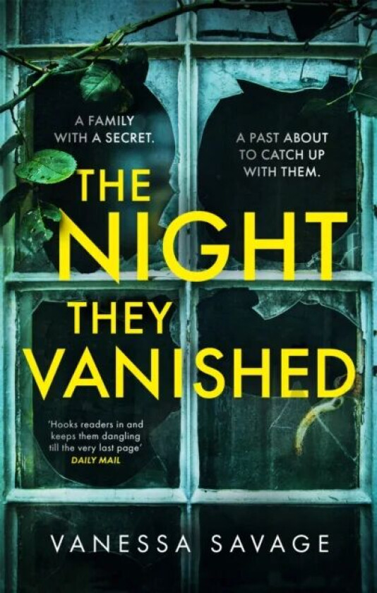 The Night They Vanished av Vanessa Savage