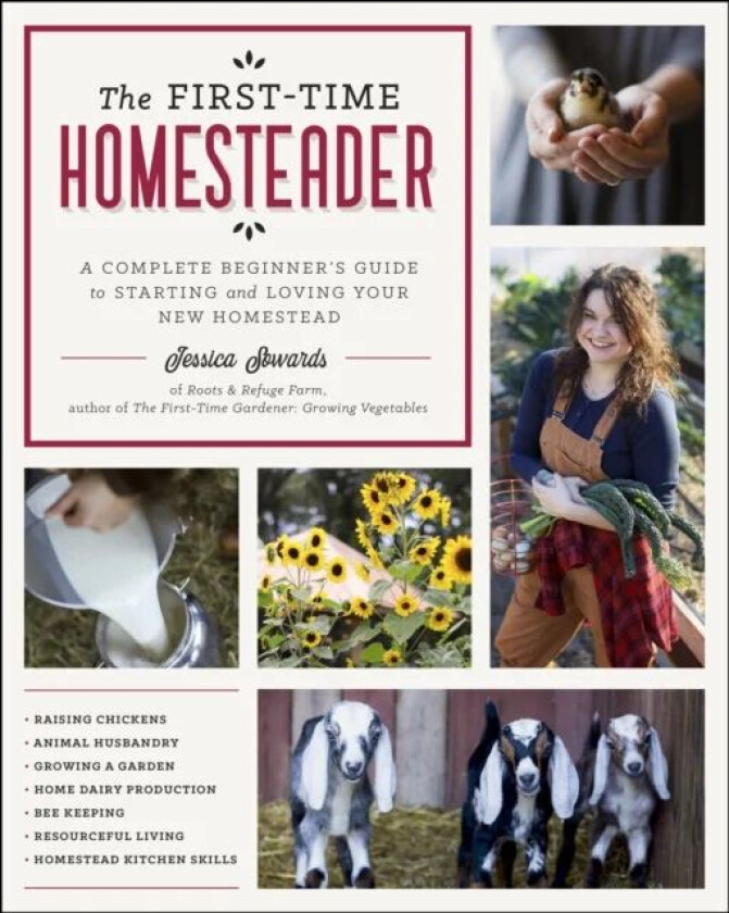 The First-Time Homesteader av Jessica Sowards