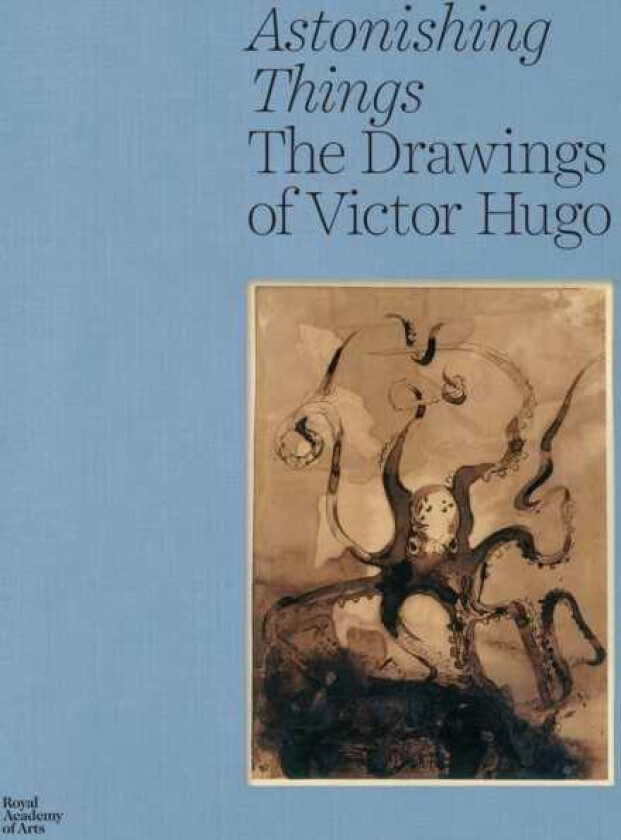 Astonishing Things  The Drawings of Victor Hugo