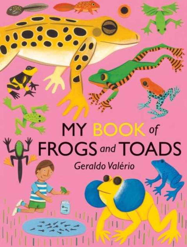 My Book of Frogs and Toads