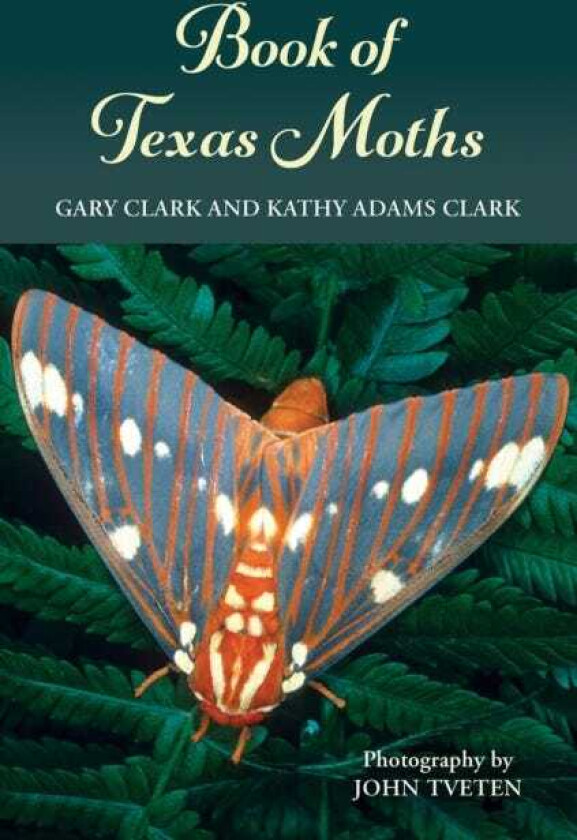 Book of Texas Moths