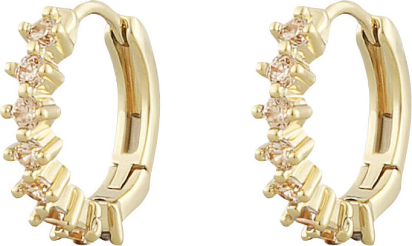 Snö of Sweden Nuit, Øreringer forgylt med champagnefargede zirkonia