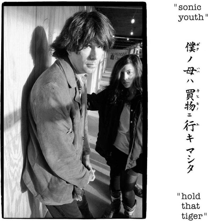 Sonic Youth Hold That Tiger CD