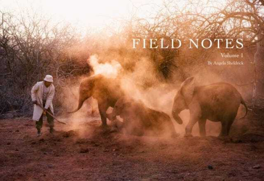 Field Notes Volume 1