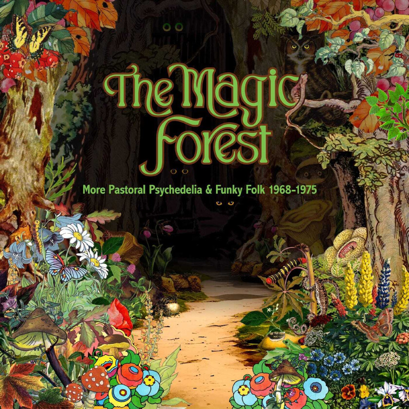 Diverse Rock The Magic Forest (More Pastoral Psychedelia & Funky Folk 19681975) CD