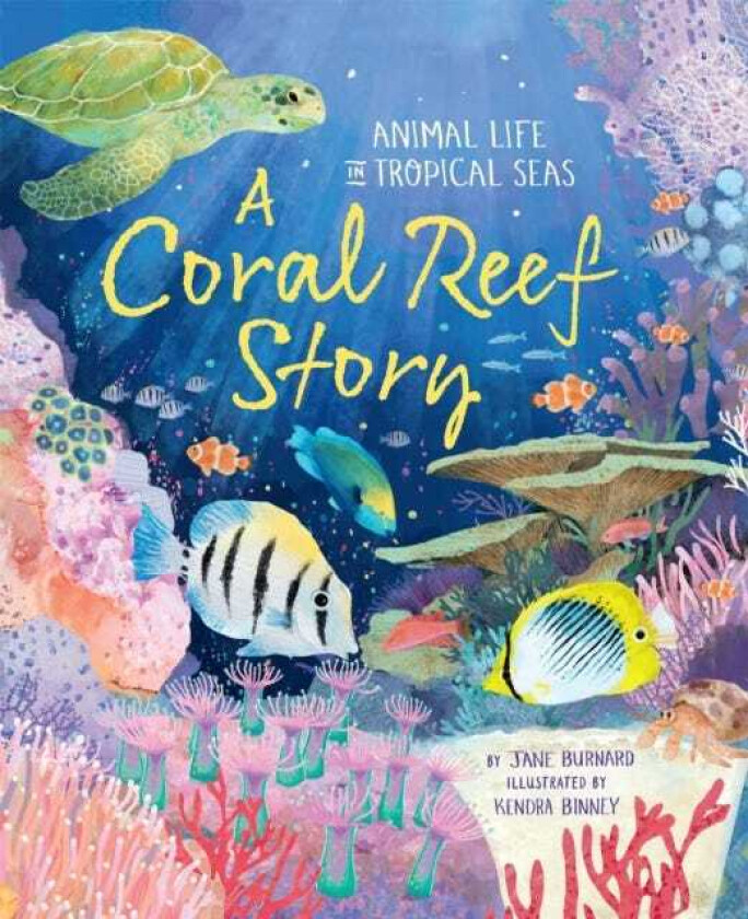 A Coral Reef Story Animal Life in Tropical Seas