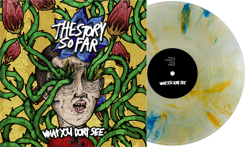The Story So Far What You Don't See LP/Vinyl