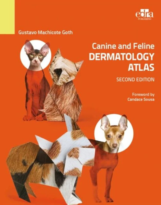 Canine and Feline Dermatology Atlas 2nd Edition av Gustavo Machicote Goth