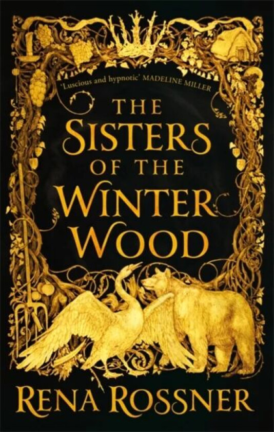 The Sisters of the Winter Wood av Rena Rossner