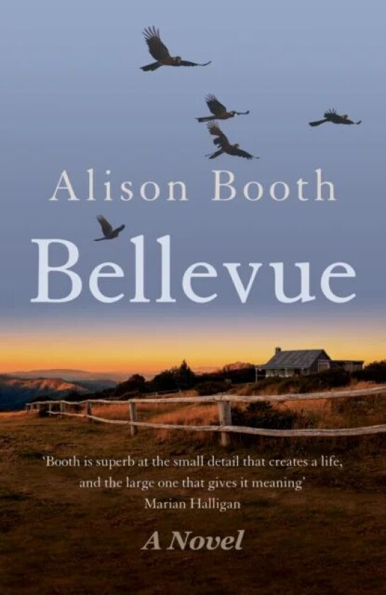 Bellevue av Alison Booth
