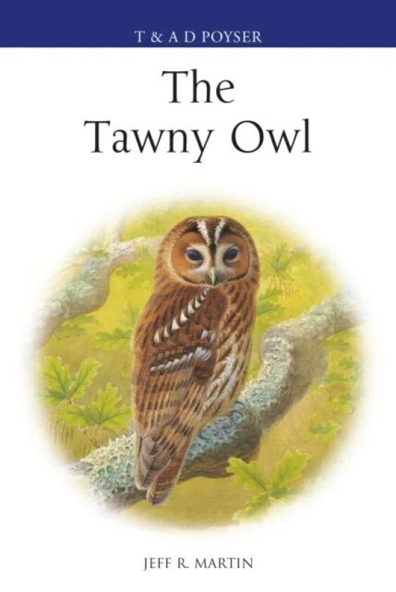 The Tawny Owl av Mr Jeff Martin