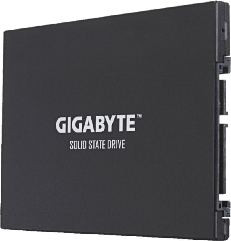 Gigabyte Ud Pro Series Gp-Gstfs30256gttd - Ssd - 256 Gb - Intern - 2.5" - Sata 6Gb/S - Buffer: 256 Mb