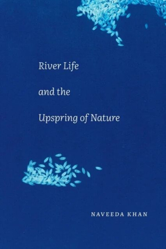River Life and the Upspring of Nature av Naveeda Khan