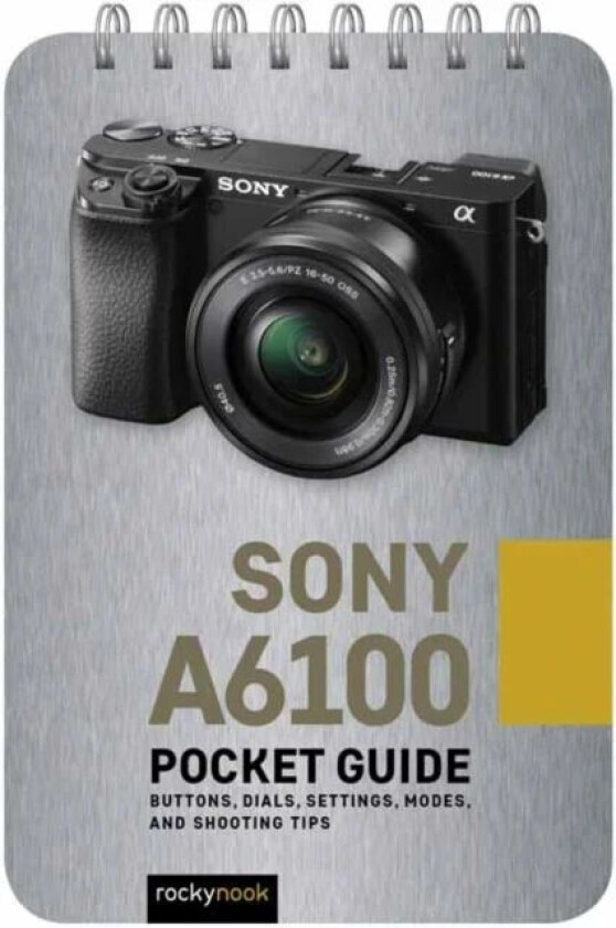 Sony a6100: Pocket Guide av Rocky Nook