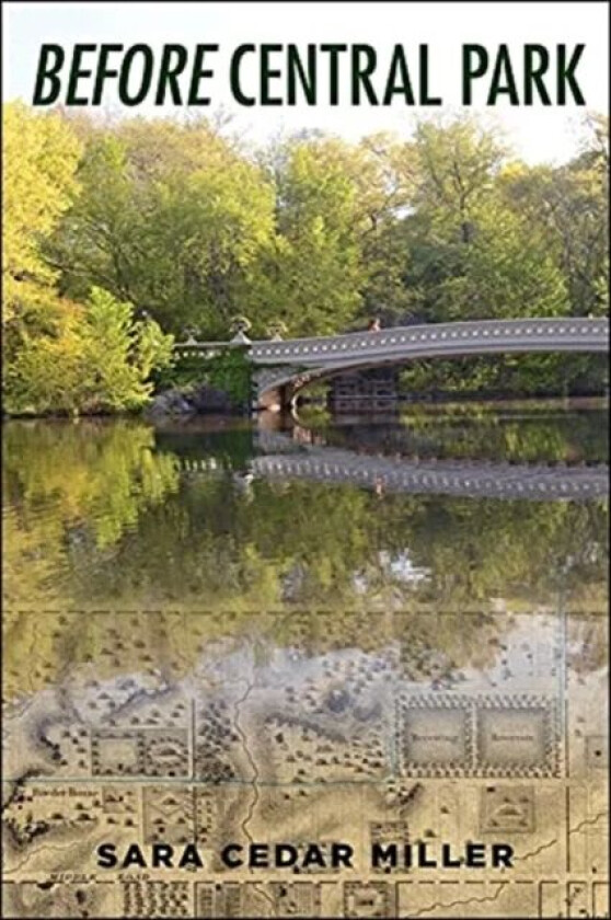 Before Central Park av Sara Cedar Miller