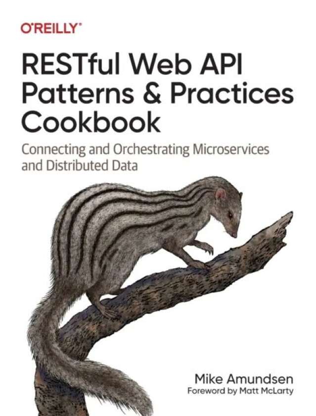 Restful Web API Patterns and Practices Cookbook av Mike Amundsen