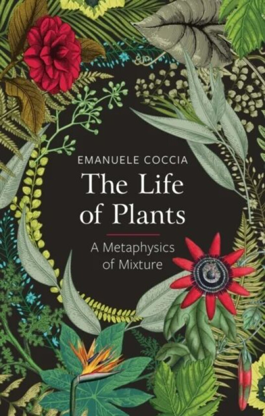 The Life of Plants av Emanuele Coccia