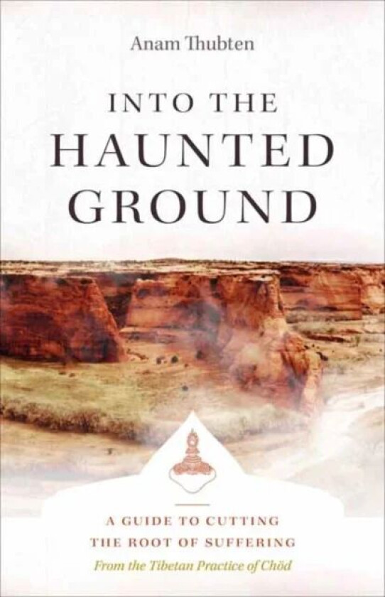 Into the Haunted Ground av Anam Thubten