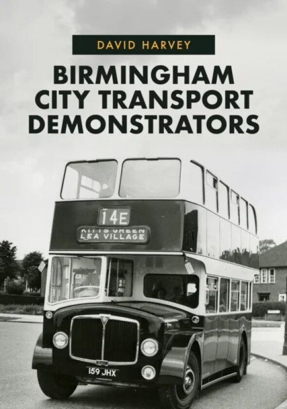 Birmingham City Transport Demonstrators av David Harvey