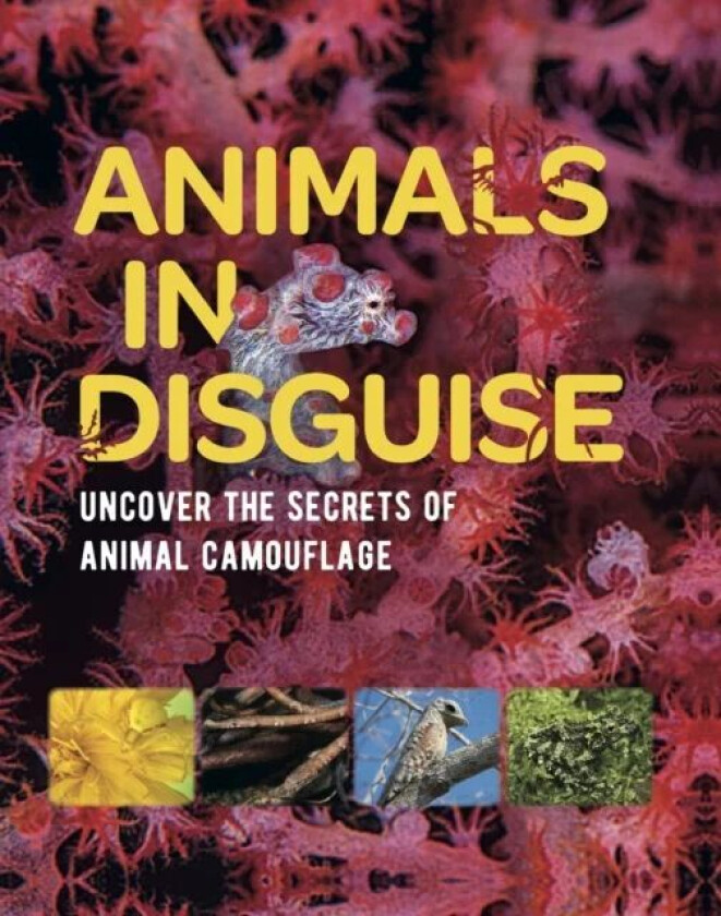 Animals in Disguise av Michael Bright
