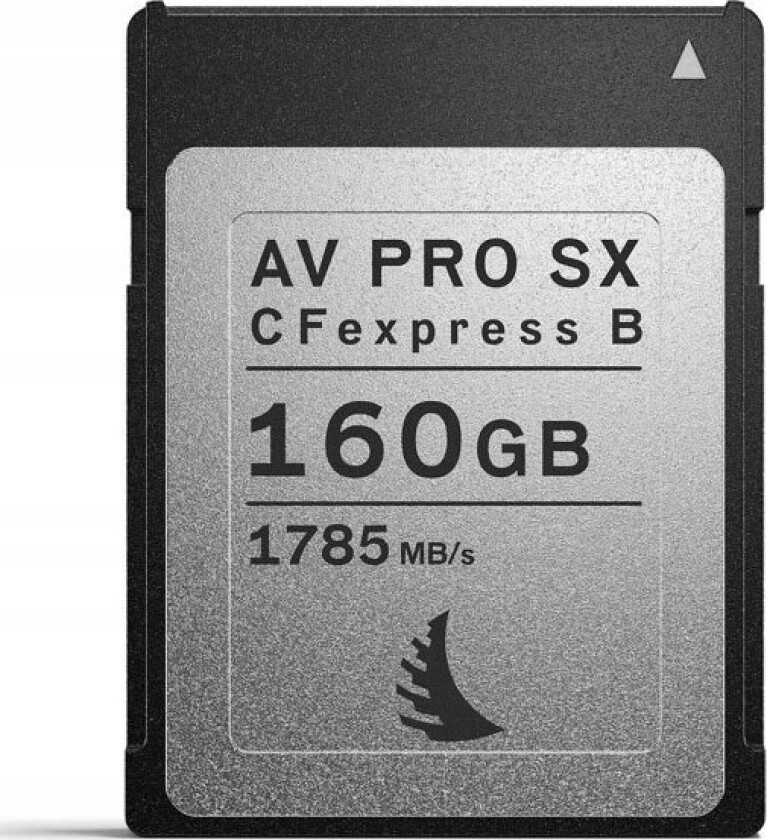 Av Pro Cfexpress A Se 160 Gb