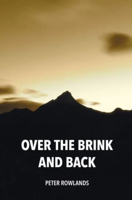 Over the Brink and Back av Peter Rowlands