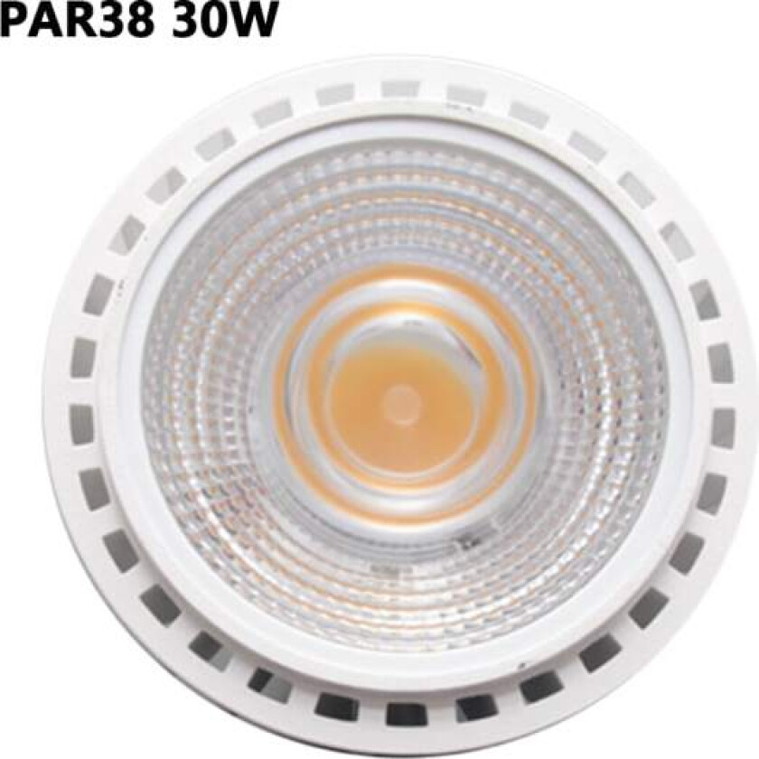1-pakke belysningsvekstlys PAR 30/38 lyspære, fullspektrum