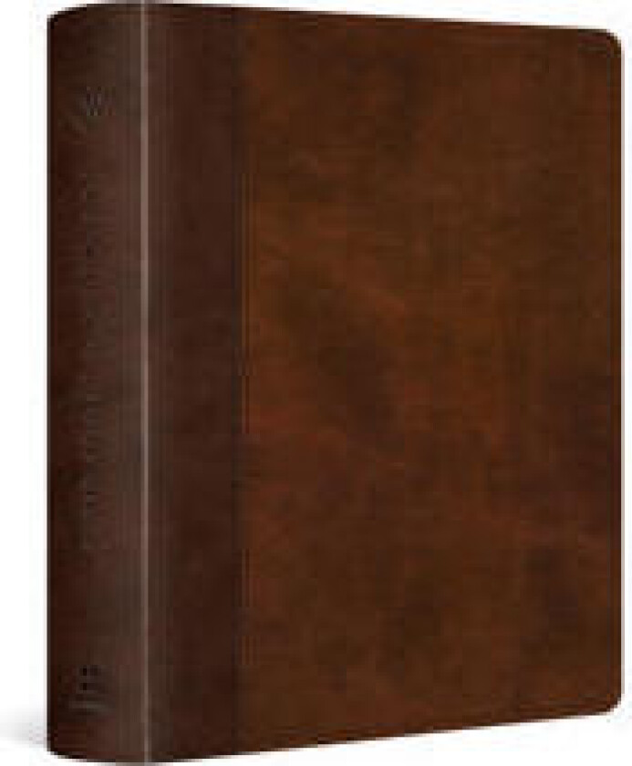 ESV Journaling Study Bible