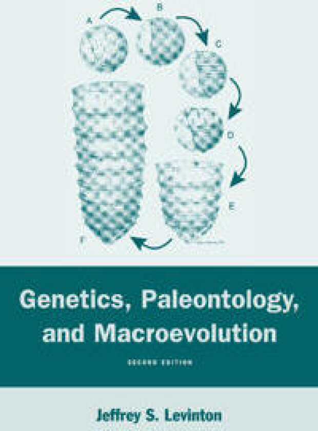 Genetics, Paleontology, and Macroevolution