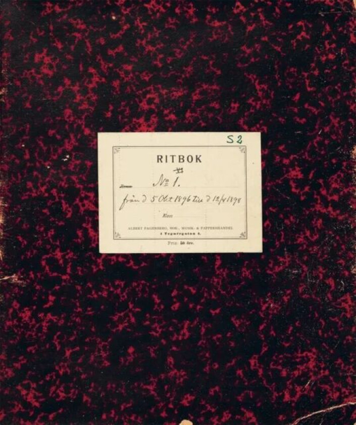 Hilma af Klint: The Five's Sketchbooks, Nos. S2, S6 and S13 av Hilma af Klint, Anna Cassel, Sigrid Hedman