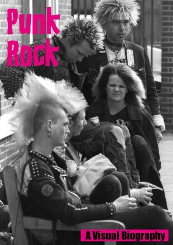 Punk Rock A Visual Biography av Andy Francis