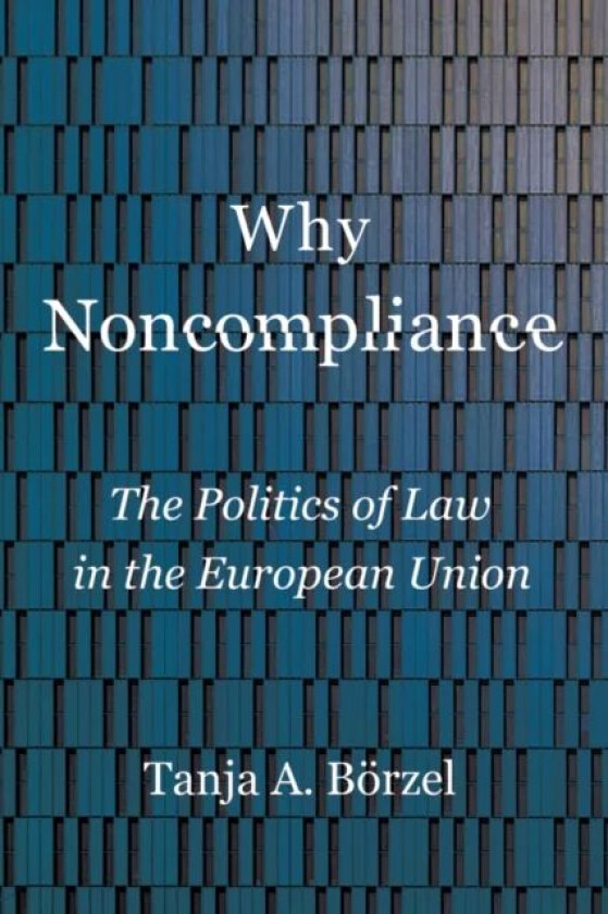 Why Noncompliance av Tanja A. Boerzel