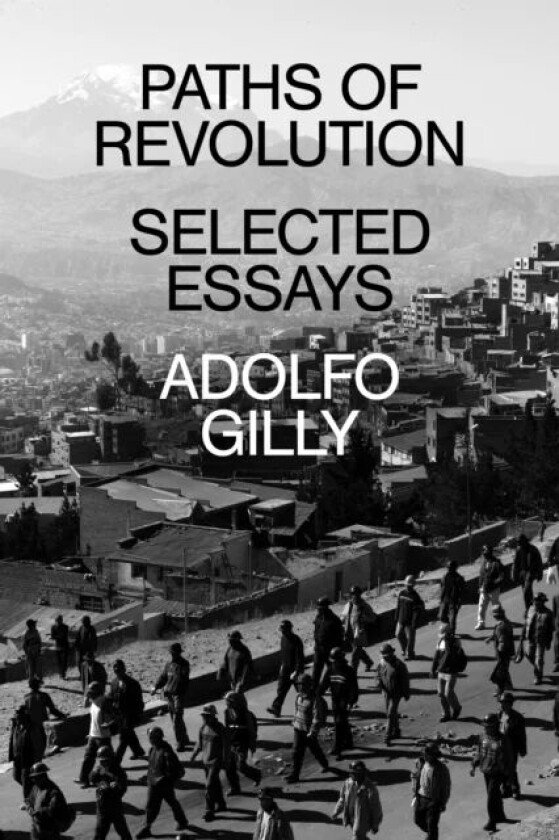 Paths of Revolution av Adolfo Gilly