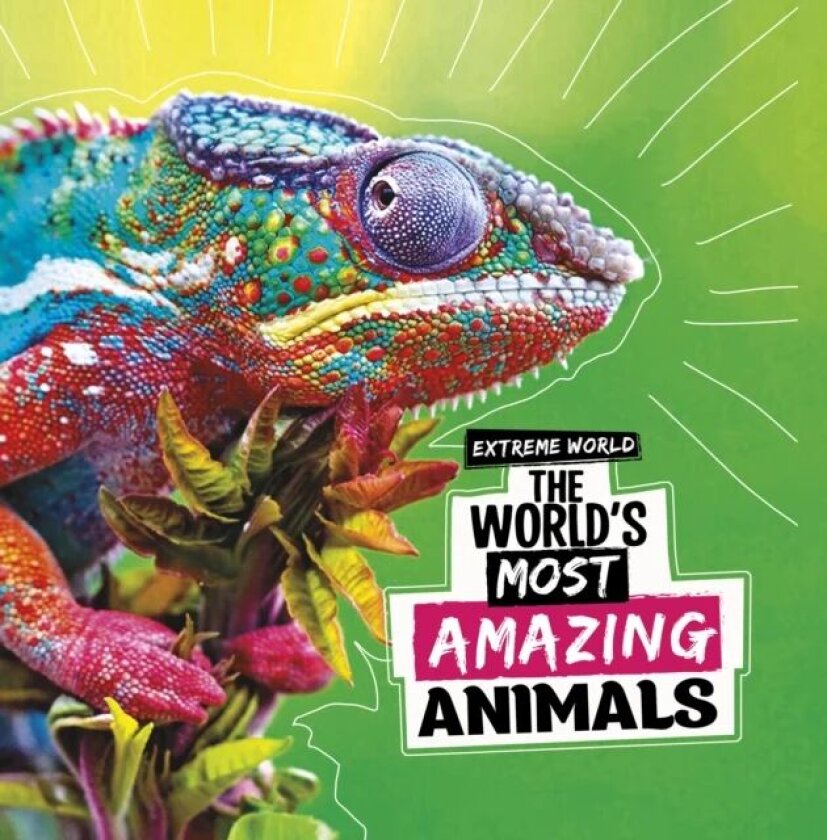 The World's Most Amazing Animals av Cari Meister