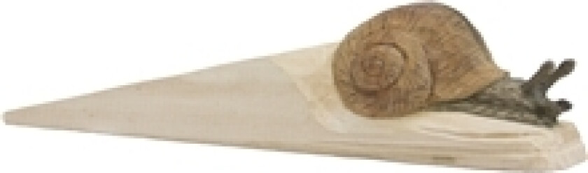 Dørstopper Vinbergssnäcka