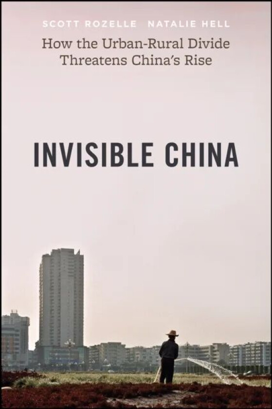 Invisible China av Scott Rozelle, Natalie Hell